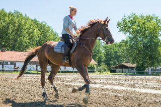 Jak zacząć przygodę z jeździectwem?