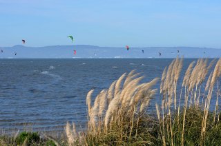 Kite - pomysł na aktywną "czerwcówkę"